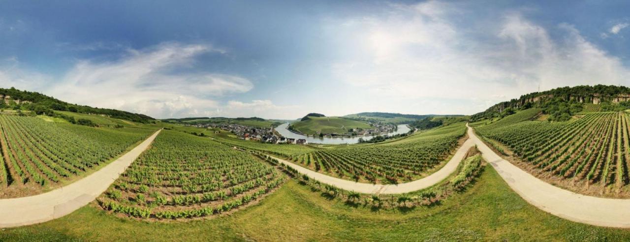 Weingut Matthias Dostert / Culinarium Hotel Nittel Exterior photo